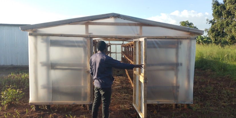 Briquette Solar Dryer